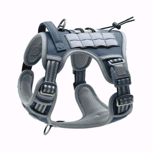 Tailova Adventure Harness